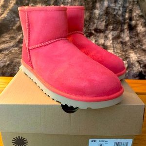 UGG Mini Slippers - Brand New